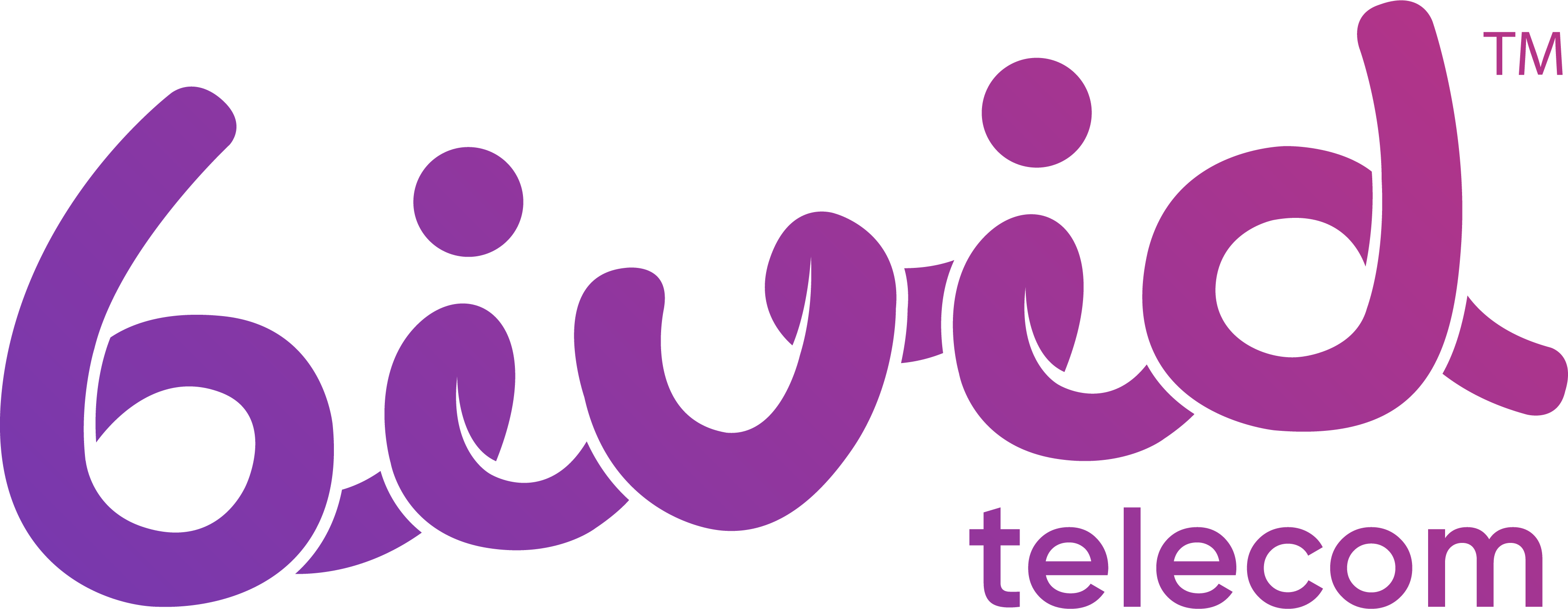 Bivid Logo